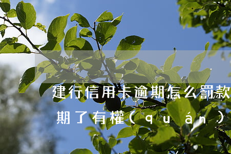 建行信用卡逾期怎么罰款嗎(建行的信用卡逾期了有權(quán)扣其他的銀行卡嗎)