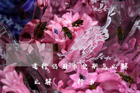 建行信用卡逾期怎么解凍(建行信用卡逾期怎么解凍銀行卡)
