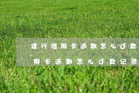 建行信用卡逾期怎么还款记录查询-建行信用卡逾期怎么还款记录查询不到