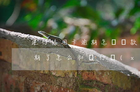 建行信用卡逾期怎樣還款(建設銀行信用卡逾期了怎么和銀行協(xié)商還款)
