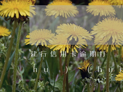 建行信用卡逾期打電話來(lái)說(shuō)會(huì)上門-建行信用卡逾期打電話來(lái)說(shuō)會(huì)上門是真的嗎