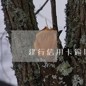 建行信用卡逾期扣費(fèi)