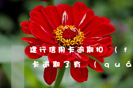 建行信用卡逾期扣費(fèi)(建行的信用卡逾期了有權(quán)扣其他的銀行卡嗎)