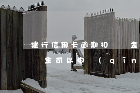 建行信用卡逾期扣違約金(建行信用卡逾期違約金可以申請(qǐng)減免嗎)
