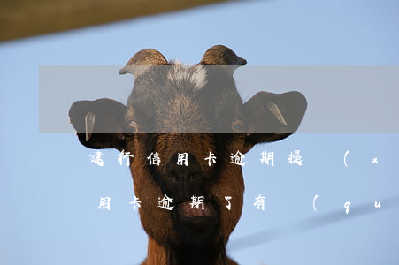建行信用卡逾期 提現(xiàn)(建行的信用卡逾期了有權(quán)扣其他的銀行卡嗎)