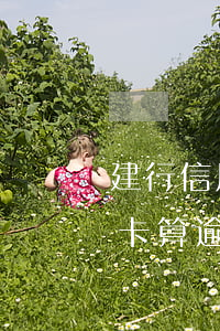 建行信用卡逾期提醒嗎 建行推遲一天還信用卡算逾期嗎?