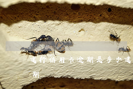 建行信用卡逾期是多少(建行 信用卡 逾期寬限期)
