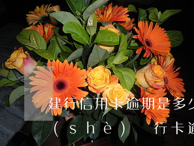建行信用卡逾期是多少錢(qián)(建設(shè)銀行卡逾期利息)