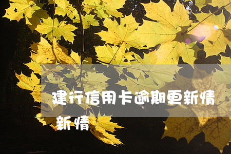建行信用卡逾期更新情況(建行信用卡逾期更新情況)