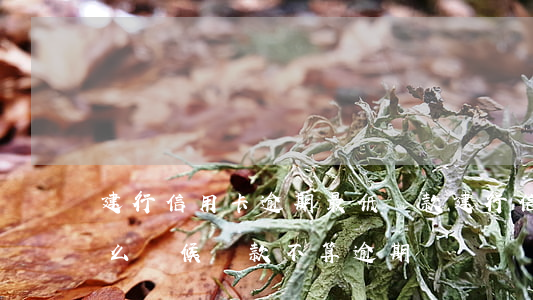建行信用卡逾期最低還款(建行信用卡最晚什么時候還款不算逾期)