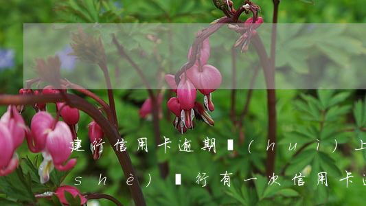 建行信用卡逾期會(huì)上門嗎(建設(shè)銀行有一次信用卡逾期怎么辦)