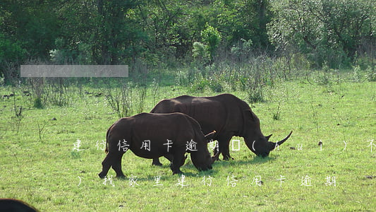 建行信用卡逾期會(huì)不會(huì)找家里(建行 信用卡 逾期)