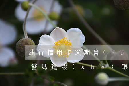 建行信用卡逾期會(huì)報(bào)警嗎(建設(shè)銀行信用卡逾期了怎么辦)