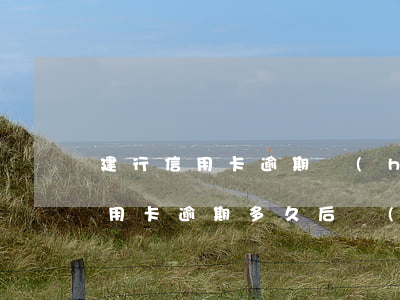 建行信用卡逾期會(huì)成黑名單(欠信用卡逾期多久后會(huì)黑名單)
