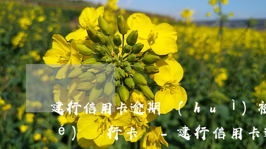 建行信用卡逾期會(huì)被凍結(jié)銀行卡嗎-建行信用卡逾期會(huì)被凍結(jié)銀行卡嗎安全嗎