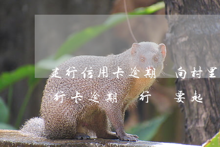 建行信用卡逾期會向村里 建設(shè)銀行卡逾期銀行說要起訴怎么辦