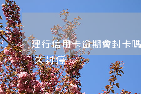 建行信用卡逾期會封卡嗎(建行信用卡逾期多久封停)