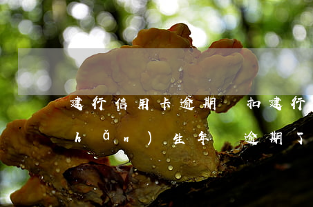 建行信用卡逾期會扣建行卡嗎(建行卡產(chǎn)生年費逾期了)