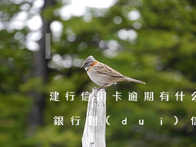 建行信用卡逾期有什么影響(建設(shè)銀行對(duì)信用卡逾期兩次影響房貸嗎)