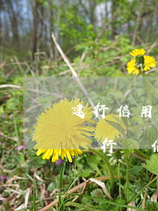 建行信用卡逾期有哪些影響(建設(shè)銀行對信用卡逾期兩次影響房貸嗎)