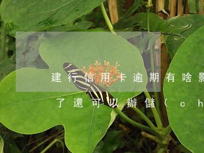 建行信用卡逾期有啥影響(建行的信用卡逾期了,還可以辦儲(chǔ)蓄卡嗎?)