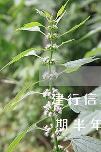 建行信用卡逾期有快贷吗(欠建行快贷十万逾期半年了现在把建行信用卡封卡了)
