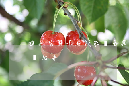 建行信用卡逾期未還后果(建行信用卡逾期未還后果)