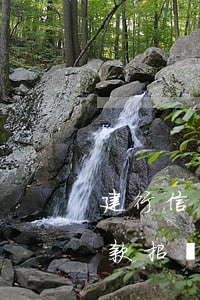 建行信用卡逾期欠款招標（建行信用卡逾期欠款招標）