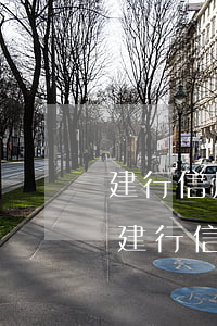 建行信用卡逾期次數(shù)怎么查詢-建行信用卡逾期次數(shù)怎么查詢到
