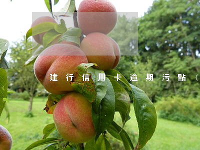 建行信用卡逾期污點(diǎn)