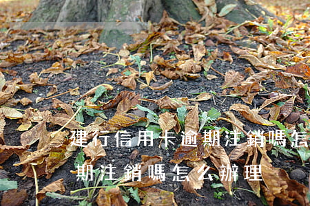 建行信用卡逾期注銷嗎怎么辦(建行信用卡逾期注銷嗎怎么辦理)