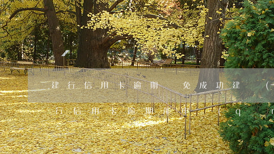 建行信用卡逾期減免成功(建設(shè)銀行信用卡逾期能申請(qǐng)減免至本金嗎)
