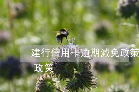 建行信用卡逾期減免政策(信用卡逾期有減免政策?)