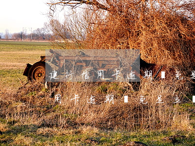 建行信用卡逾期減免是立馬減免嗎-建行信用卡逾期減免是立馬減免嗎