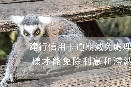 建行信用卡逾期減免處理(建行信用卡逾期怎樣才能免除利息和滯納金)