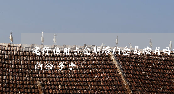 建行信用卡逾期滞纳金是按月吗(建行贷款滞纳金多少)