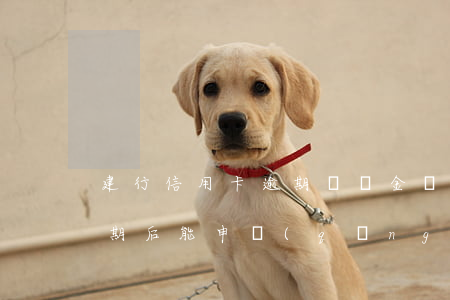 建行信用卡逾期滯納金減免(建行的信用卡逾期后能申請(qǐng)減免嗎)