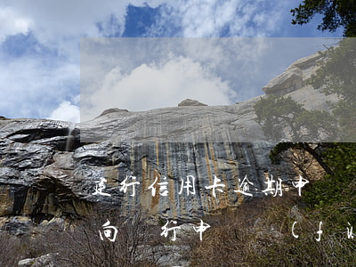 建行信用卡逾期申請復(fù)議流程(逾期向銀行申請復(fù)議)