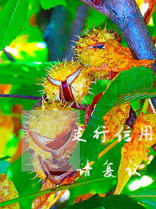 建行信用卡逾期申请复议流程(逾期向银行申请复议)