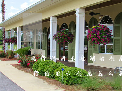 建行信用卡逾期的利息怎么計(jì)算(建行信用卡利息怎么算)