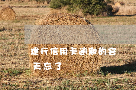 建行信用卡逾期的容時幾天(建行信用卡10天忘了還)