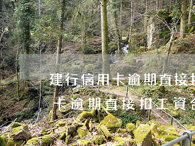 建行信用卡逾期直接扣工資合法嗎(建行信用卡逾期直接扣工資合法嗎)