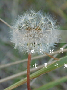 建行信用卡逾期短信內(nèi)容圖(建行信用卡 短信)