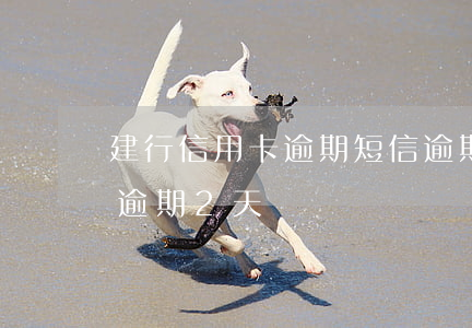建行信用卡逾期短信逾期(建行信用卡不小心逾期2天)