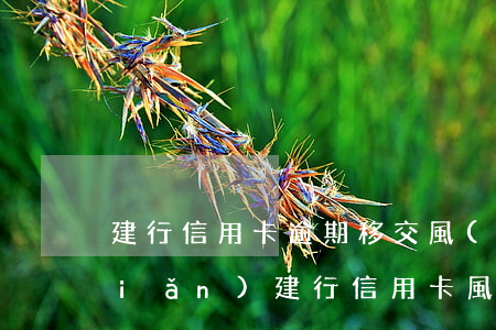 建行信用卡逾期移交風(fēng)險(xiǎn)(建行信用卡風(fēng)險(xiǎn)提示)