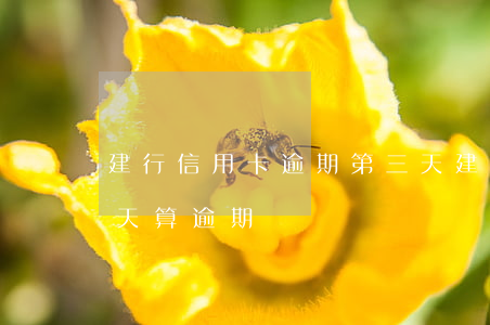 建行信用卡逾期第三天(建行信用卡逾期第三天算逾期嗎)