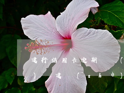 建行信用卡逾期紙質(zhì)協(xié)議(建設(shè)銀行信用卡逾期處理)