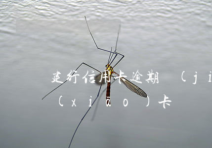 建行信用卡逾期結(jié)清后要不要銷(xiāo)卡