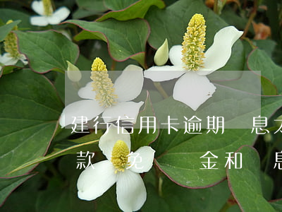 建行信用卡逾期罰息太高(建行信用卡逾期還款減免滯納金和罰息)