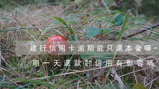 建行信用卡逾期能只還本金嘛-建設銀行逾期一天還款對信用有影響嗎